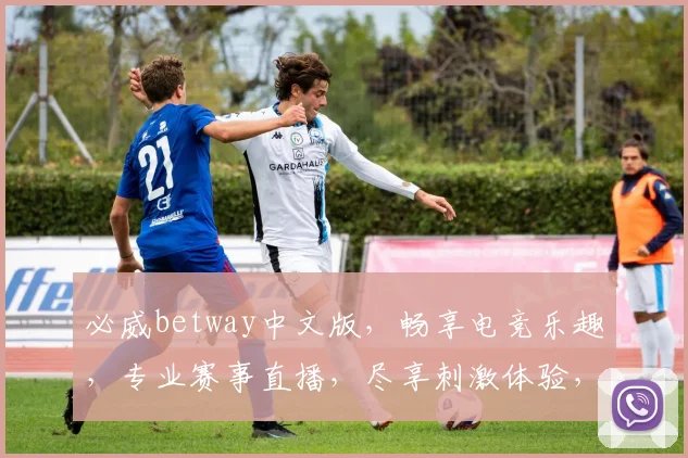 必威betway中文版，畅享电竞乐趣，专业赛事直播，尽享刺激体验，一触即达