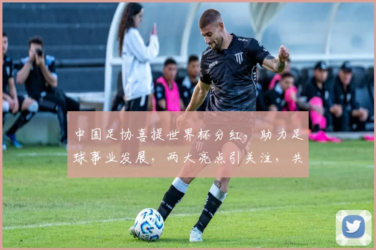中国足协喜提世界杯分红，助力足球事业发展，两大亮点引关注，共襄盛举